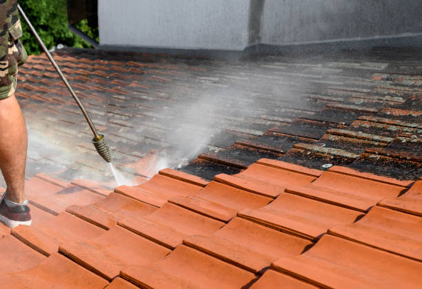 Best House Pressure Washing  in Pacifi, CA