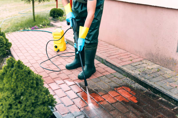 Best Roof Pressure Washing  in Pacifi, CA